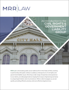 Civil Rights and Government Liability Brochure